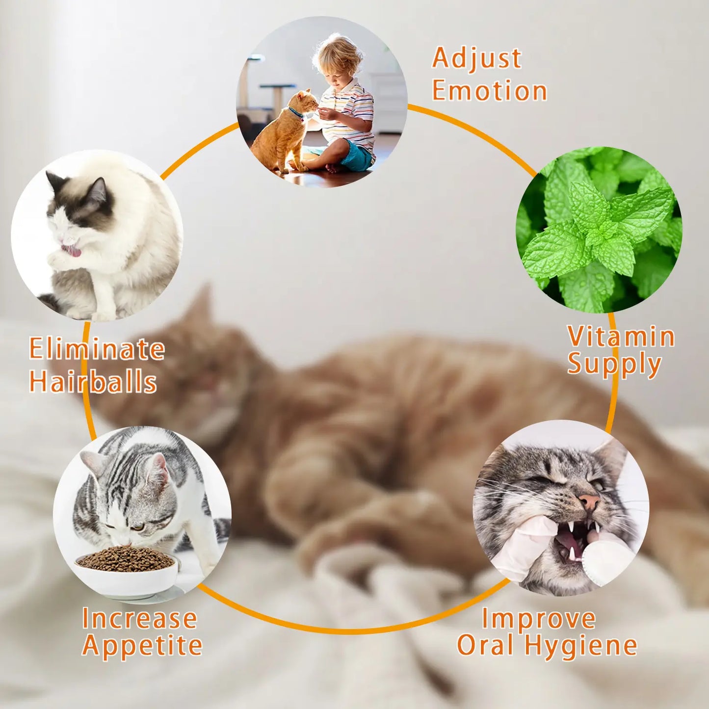 Catnip Ball for Cats, Extra Cat Energy Ball, Edible Toys, Lick Safe Healthy Kitten Chew & Teeth Cleaning Dental Toys