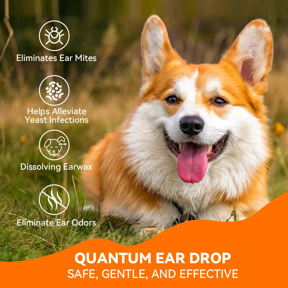 Puainta Quantum Silver Ear Drops - Ultimate Ear Infection Treatment for Dogs and Cats, 30ml Solution for Itchy Ears and Ear Mites